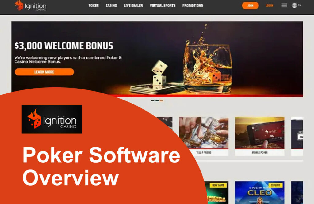 Ignition Poker Software Overview