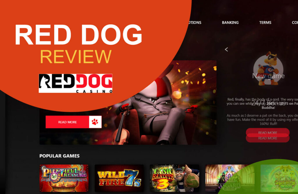 Red Dog casino review